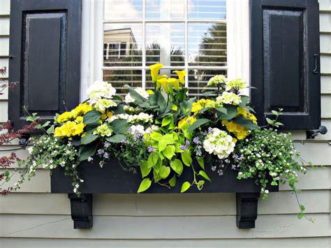 window box designs